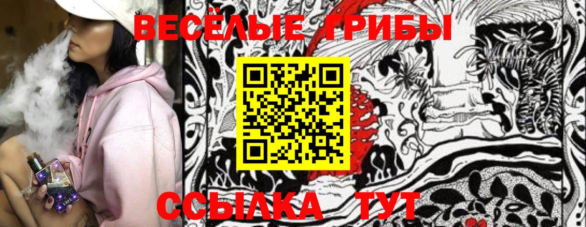 Сердобск  купить  цена  Вход с VPN  Галлюциногенные грибы GOLDEN TEACHER  Псилоцибиновые грибы GOLDEN TEACHER 